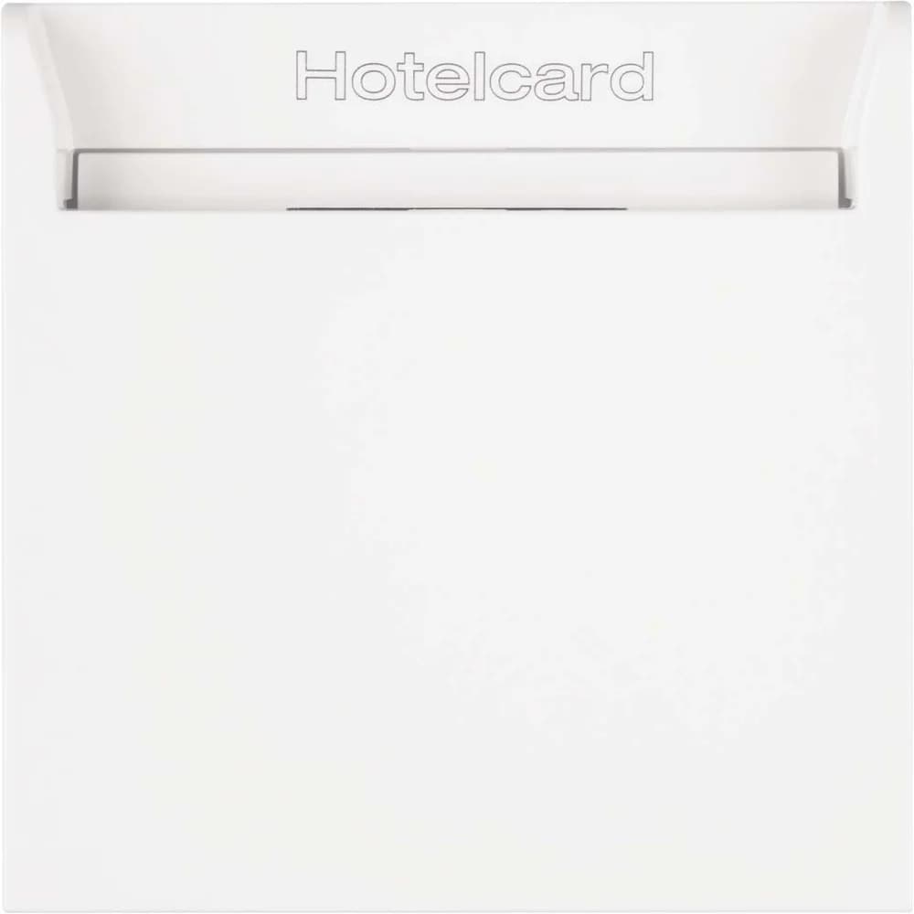 Berker Relais-Schalter Hotelcard 16408999