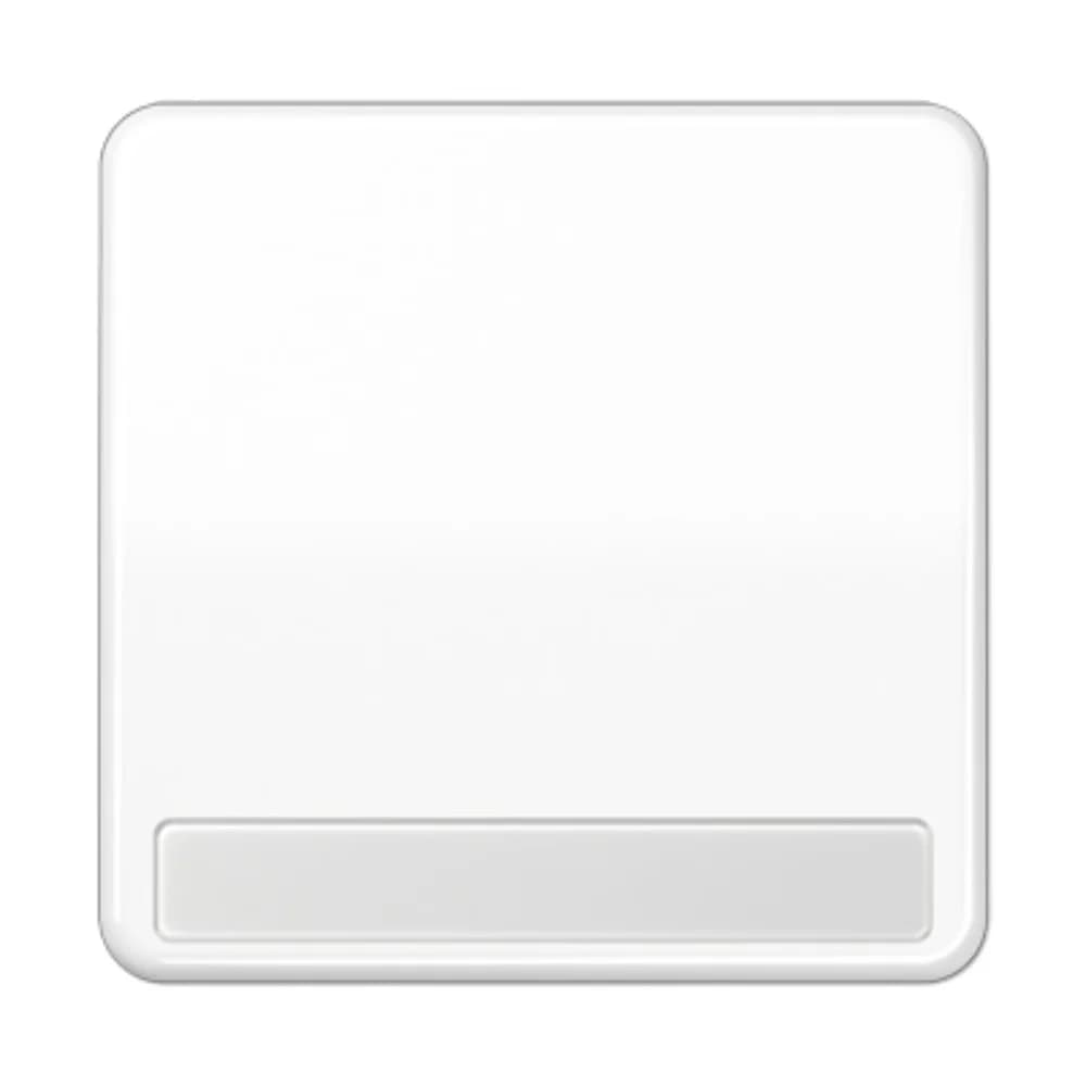 Jung Wippe Schriftfeld aws CD 590 NA WW