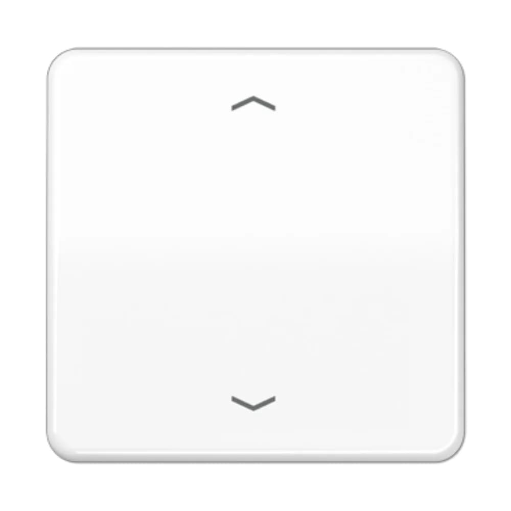 Jung Steuertaste Standard CD 1700 P WW