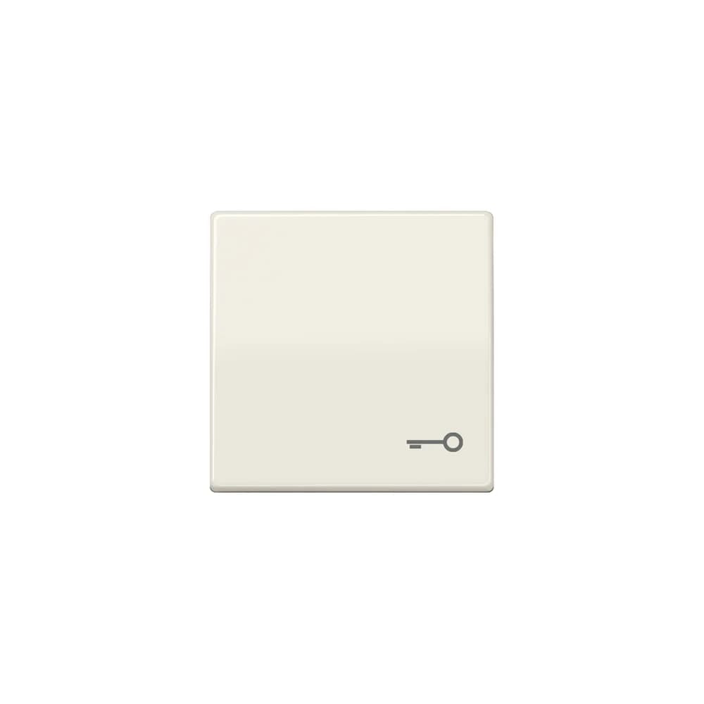 Jung Wippe Symbol TÜR ws AS 591 T