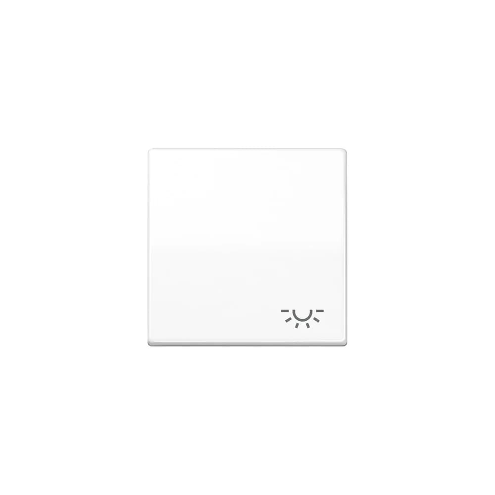 Jung Wippe Symbol LICHT aws AS 591 L WW
