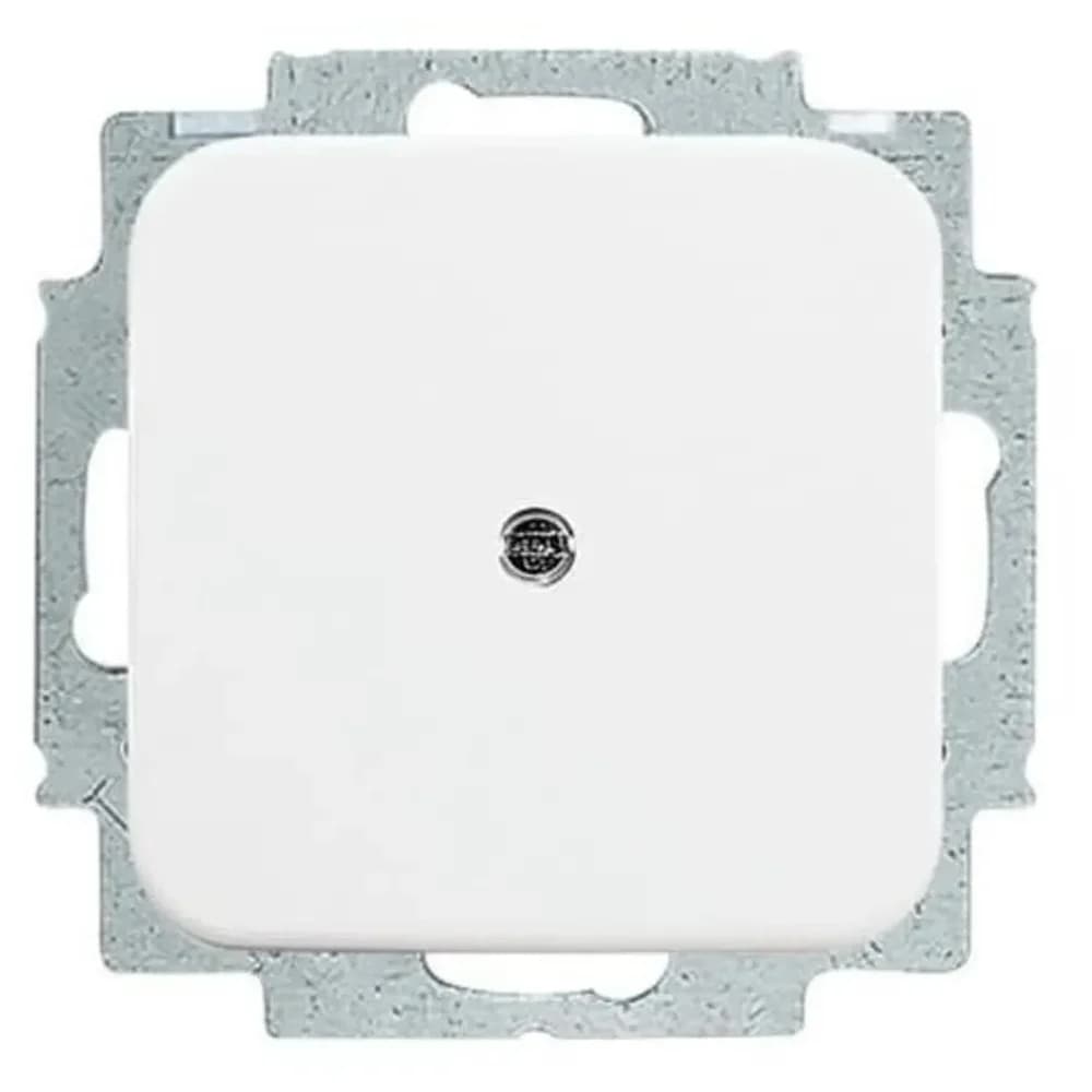Busch-Jaeger Blindzentralscheibe aws 2538-214