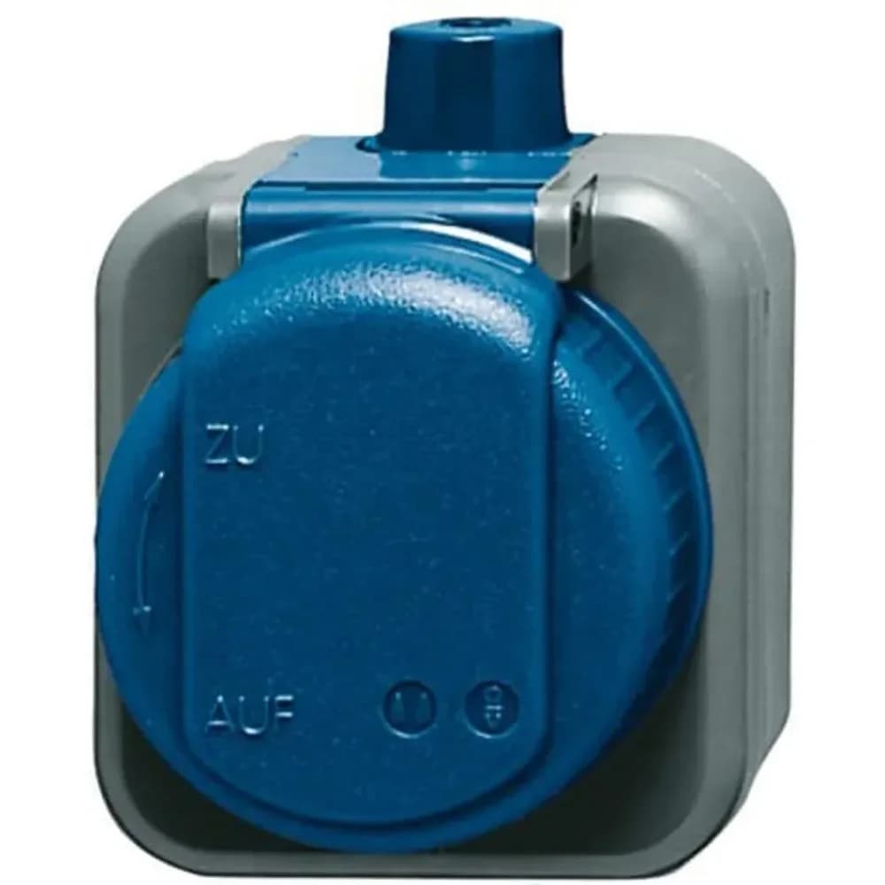 Busch-Jaeger Steckdose 2300 EWDI