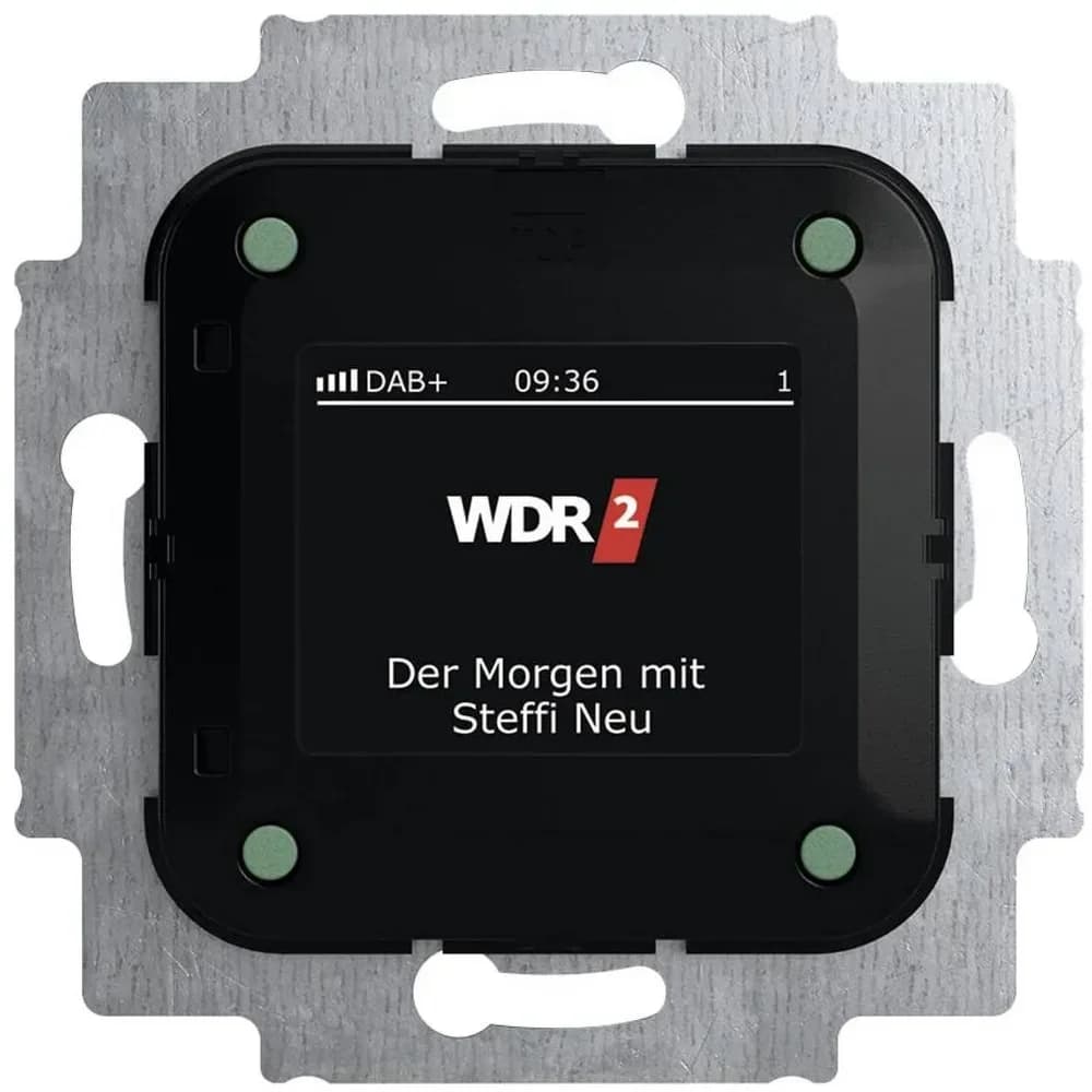 Busch-Jaeger Busch-Radio DAB+