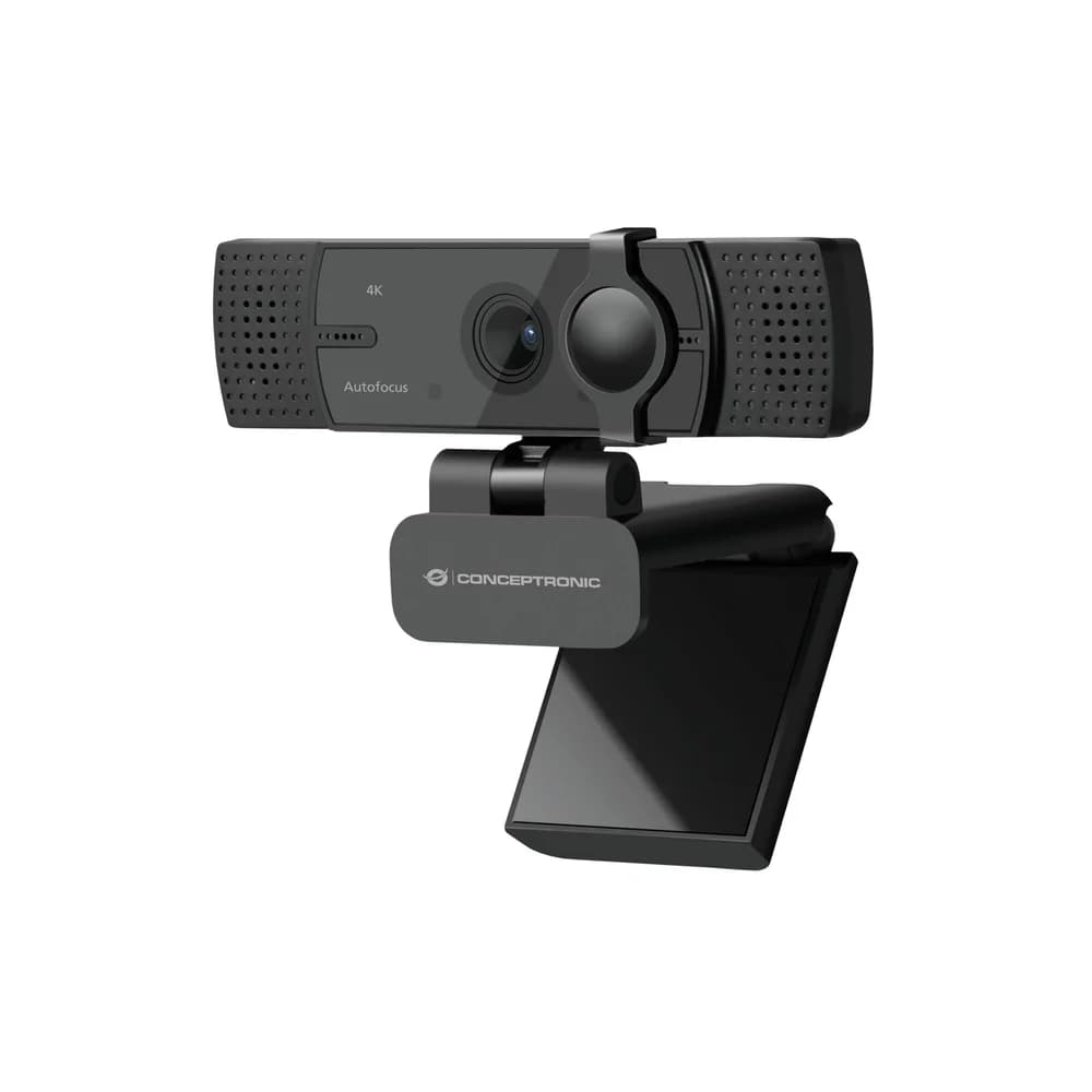Conceptronic Webcam
