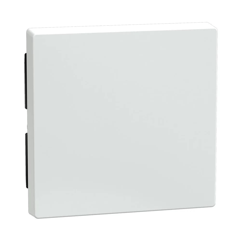 Merten Wippe aws/gl 432125