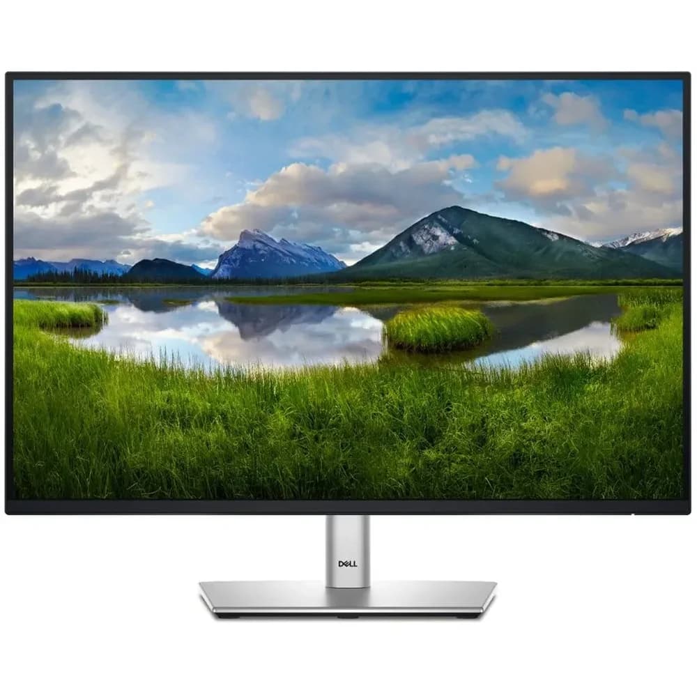 Dell P2425 TFT-Monitor
